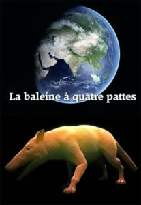 Évolution : la baleine à quatre pattes