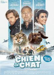 Chien et Chat